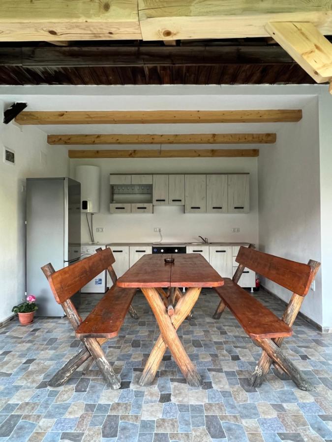 Villa Casa Andrei Cîrţişoara Exterior foto
