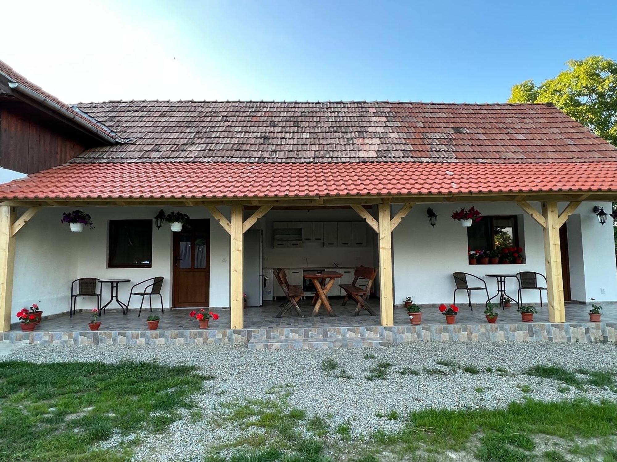 Villa Casa Andrei Cîrţişoara Exterior foto