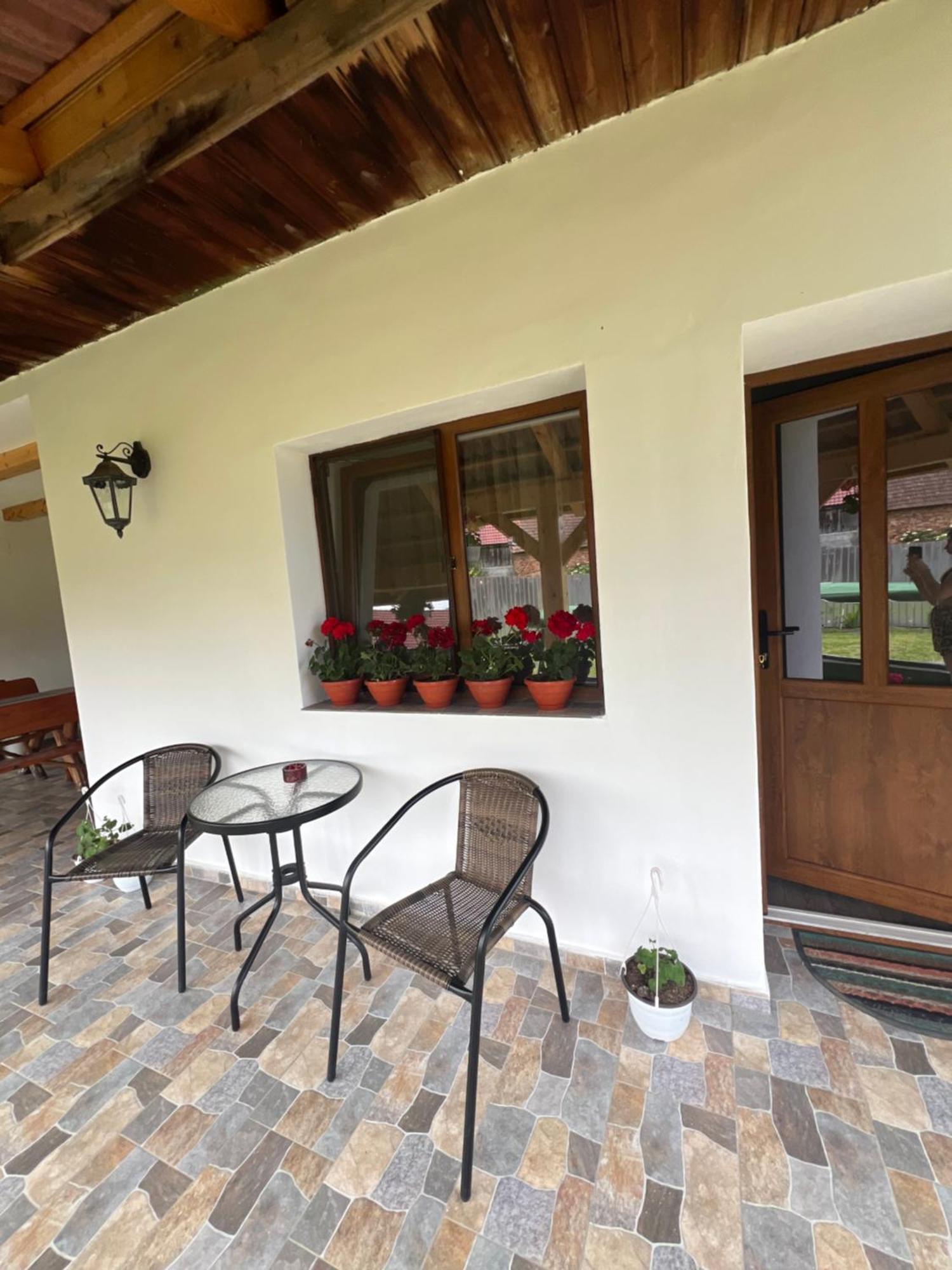 Villa Casa Andrei Cîrţişoara Exterior foto